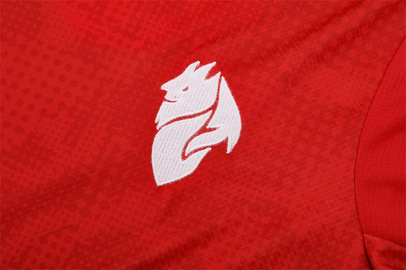 Camiseta y Pantalón corto Entrenamiento AC Milan 25/26