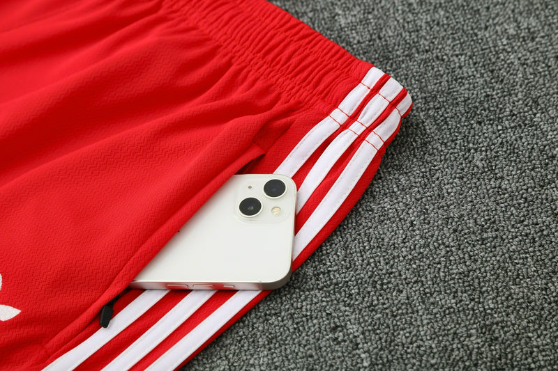 Camiseta y Pantalón entrenamiento Bayern 25/26